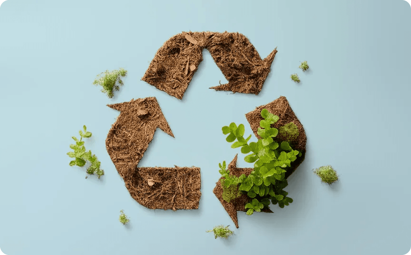 Understanding the Full Scope of Emissions